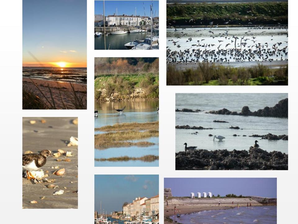 Ile De Re, La Danae, Velos, Wifi, Possibilite Cuisine, Linge, Parking Gratuit Saint-Martin-de-Re ภายนอก รูปภาพ
